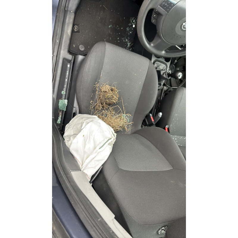 Renfort pare choc avant (traverse) OPEL MERIVA A Photo n°15