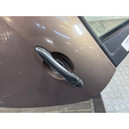 Porte arriere gauche RENAULT SCENIC 3