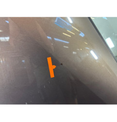 Porte arriere gauche RENAULT SCENIC 3