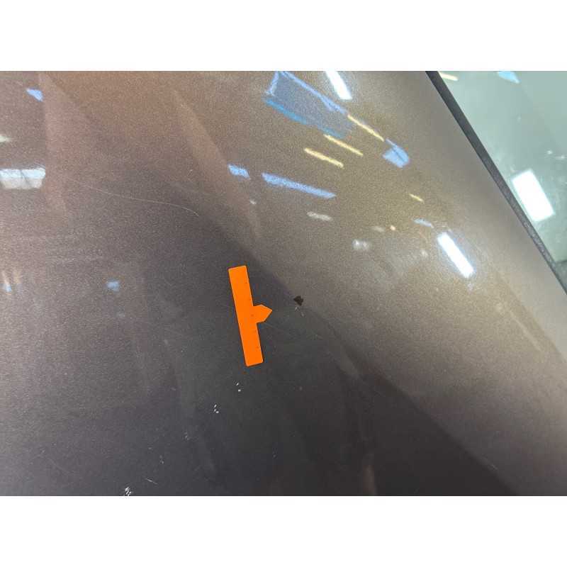 Porte arriere gauche RENAULT SCENIC 3 Photo n°3