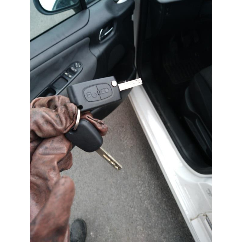 Boite de vitesses PEUGEOT 207 Photo n°7