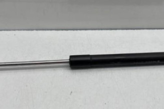 Verin de capot RENAULT CLIO 4