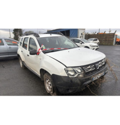Vitre arriere gauche DACIA DUSTER 1