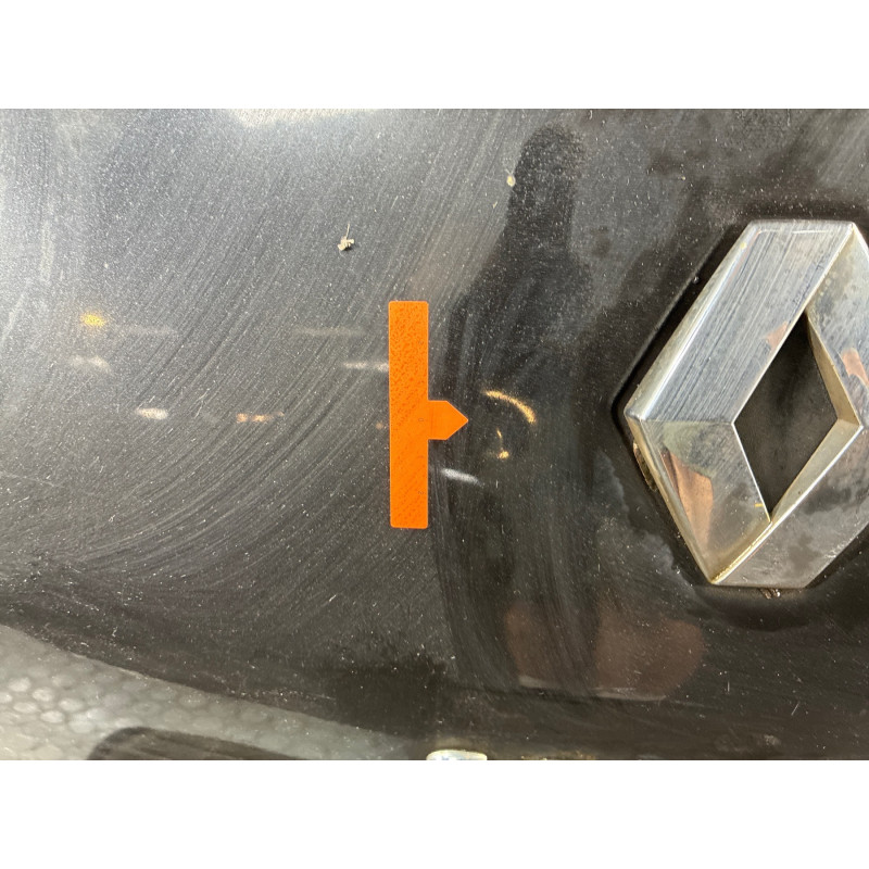 Malle/Hayon arriere RENAULT SCENIC 2 Photo n°5