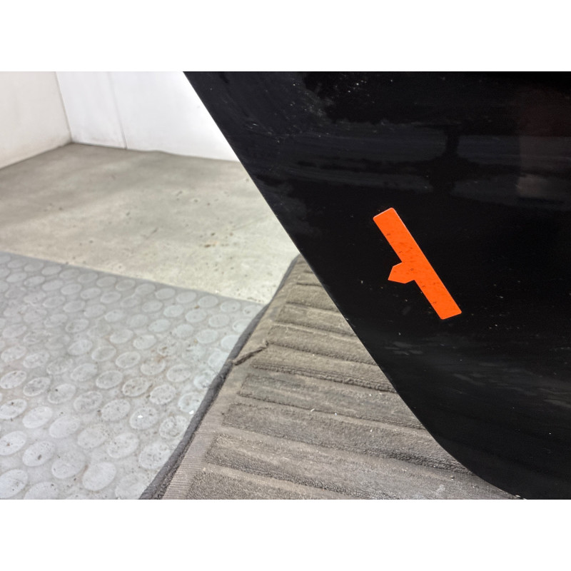Porte arriere droit RENAULT SCENIC 2 Photo n°5
