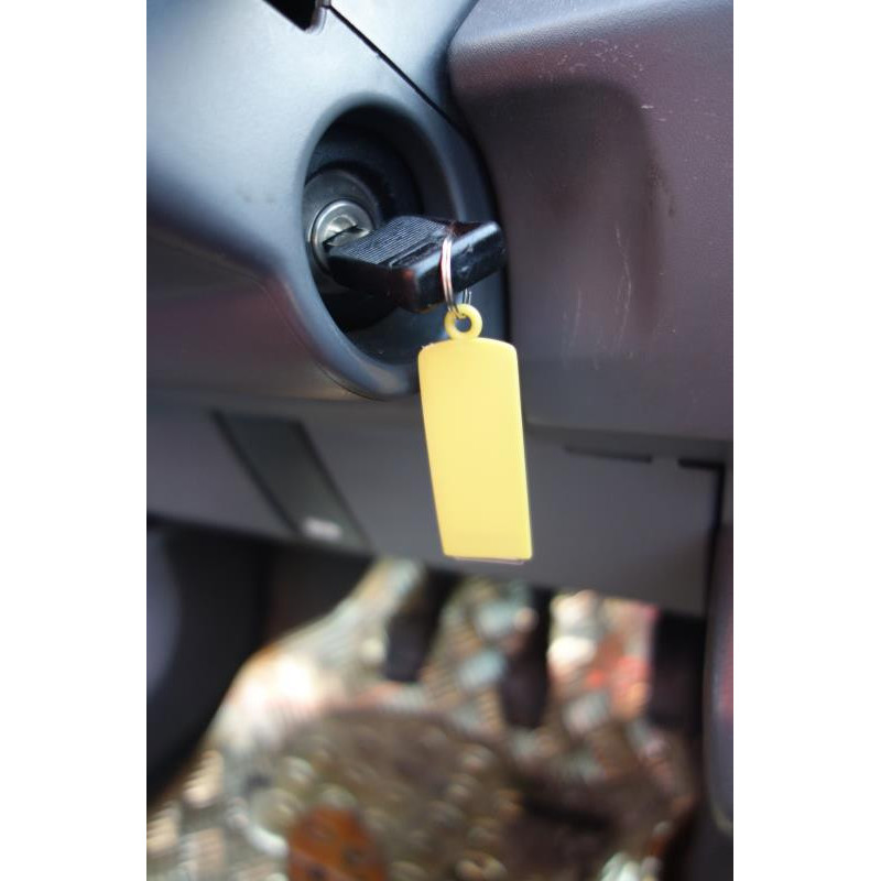 Neiman RENAULT CLIO 1 Photo n°10