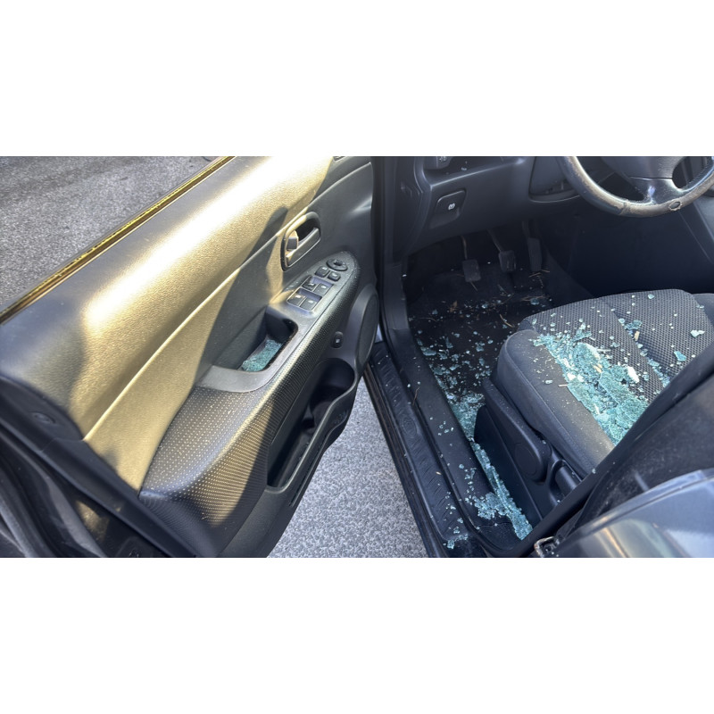 Pedale d'accelerateur KIA CARENS 3 Photo n°16