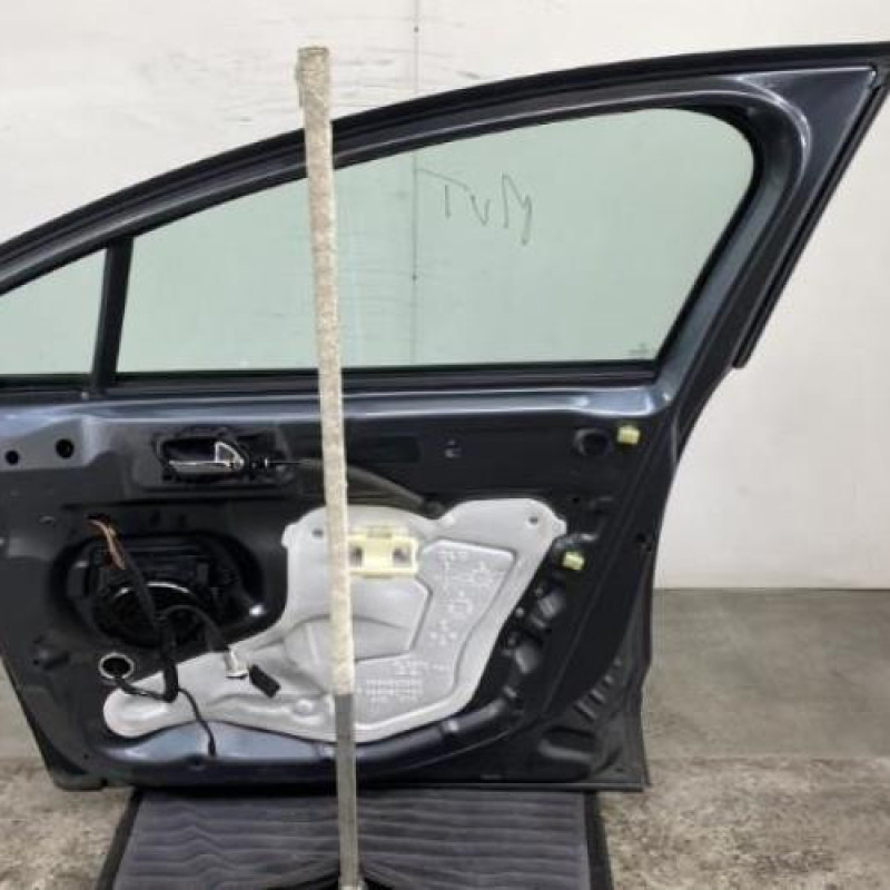 Porte avant droit PEUGEOT 3008 1 Photo n°8