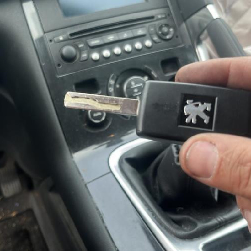Porte avant droit PEUGEOT 3008 1 Photo n°20