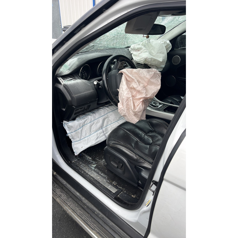 Baguette de porte arriere droite LAND ROVER RANGE ROVER 1 EVOQUE Photo n°9