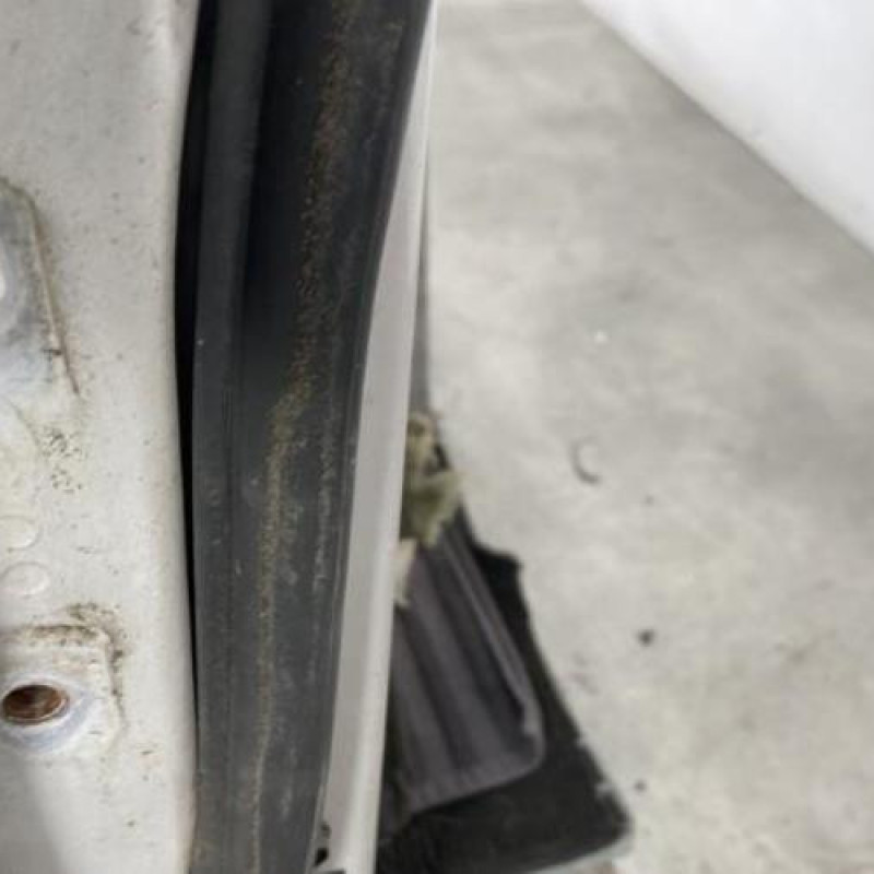 Porte avant droit HYUNDAI TERRACAN Photo n°4