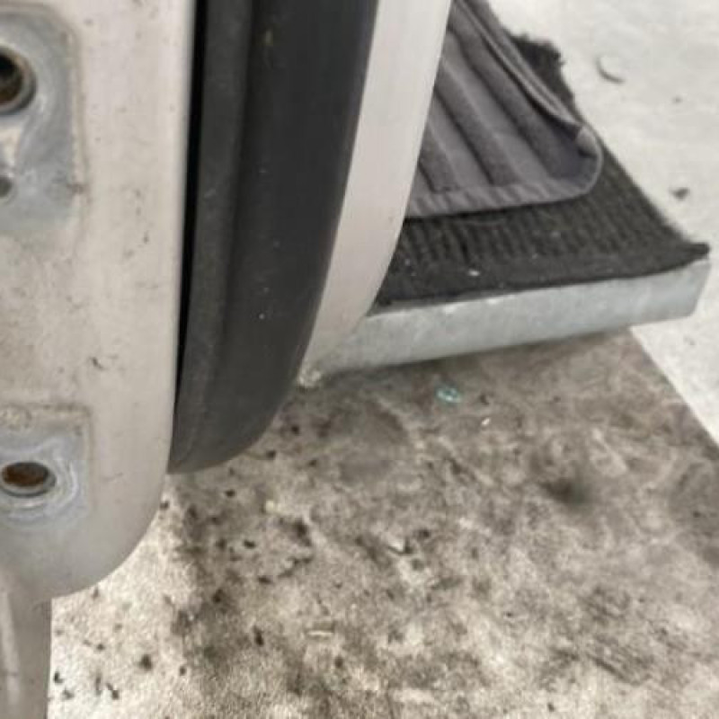 Porte avant droit HYUNDAI TERRACAN Photo n°6