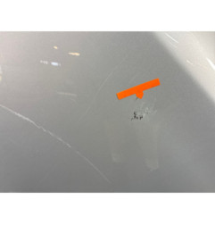 Porte arriere gauche PEUGEOT 208 1