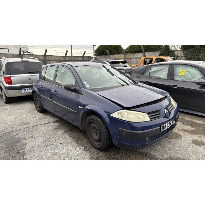 Custode arriere droit (porte) RENAULT MEGANE 2 Photo n°5