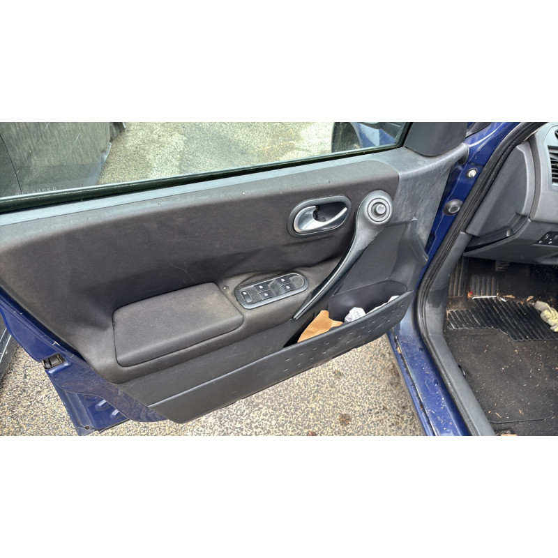 Custode arriere droit (porte) RENAULT MEGANE 2 Photo n°12