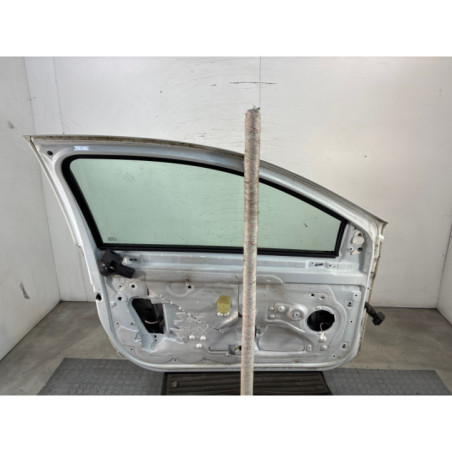 Porte avant gauche RENAULT CLIO 3 Photo n°1
