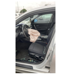 Custode arriere gauche (porte) BMW SERIE 1 E87