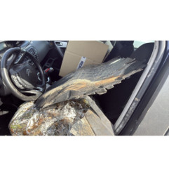 Optique avant principal gauche (feux)(phare) CITROEN C4 PICASSO 1