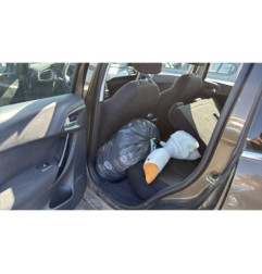 Porte arriere gauche CITROEN C3 2
