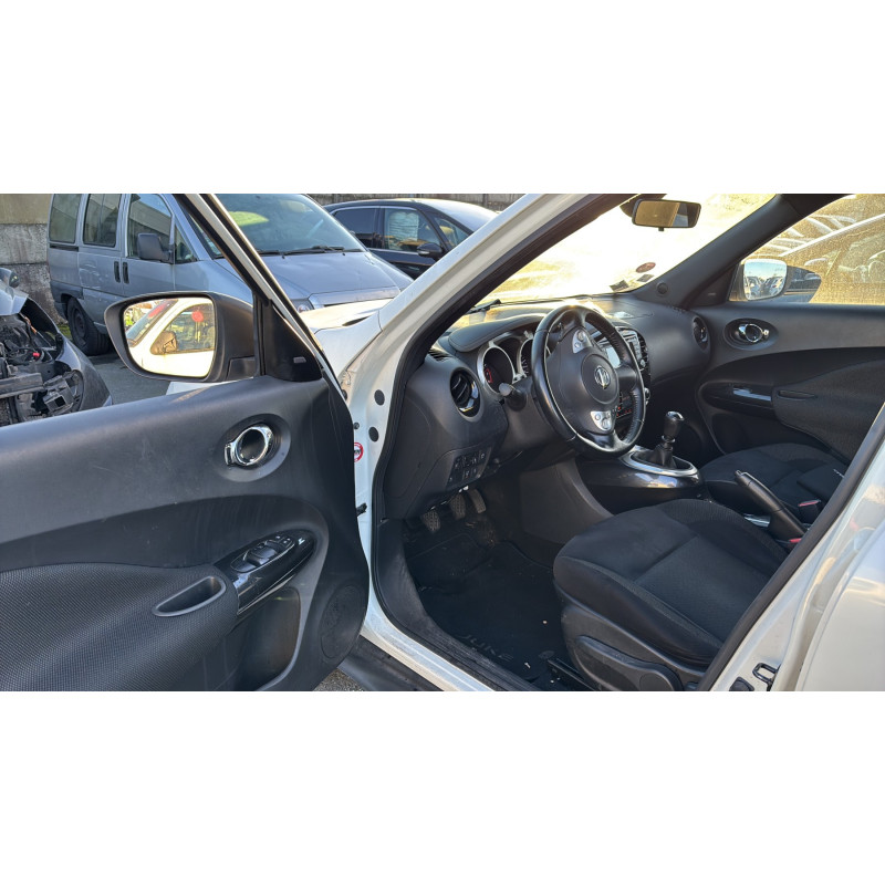 Porte avant gauche NISSAN JUKE 1 Photo n°12