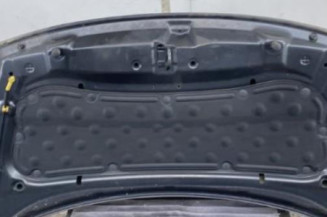 Capot KIA RIO 3