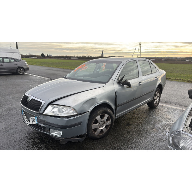Malle/Hayon arriere SKODA OCTAVIA 2 Photo n°9