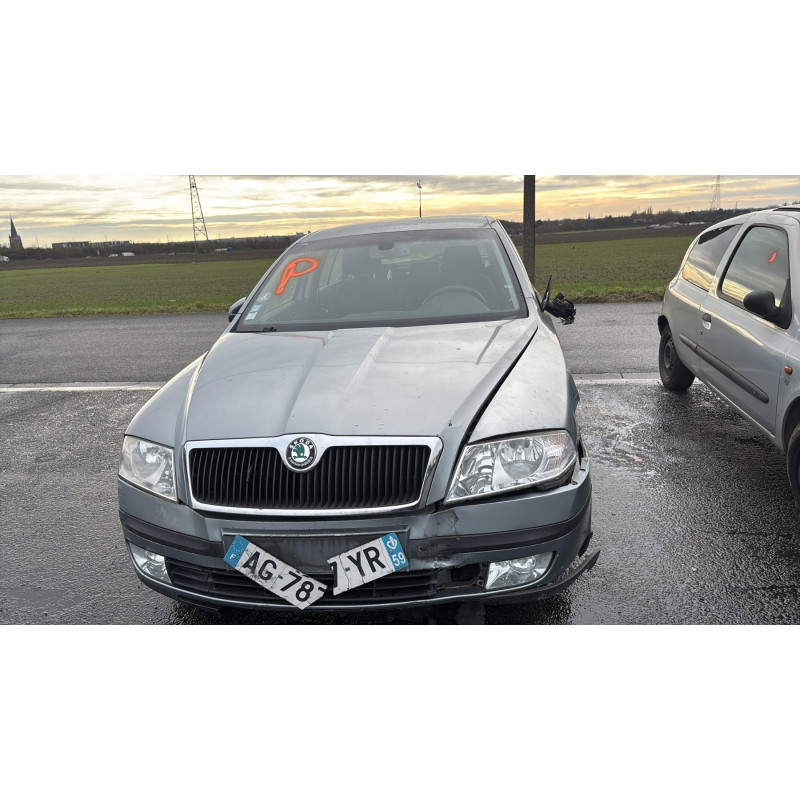 Malle/Hayon arriere SKODA OCTAVIA 2 Photo n°10