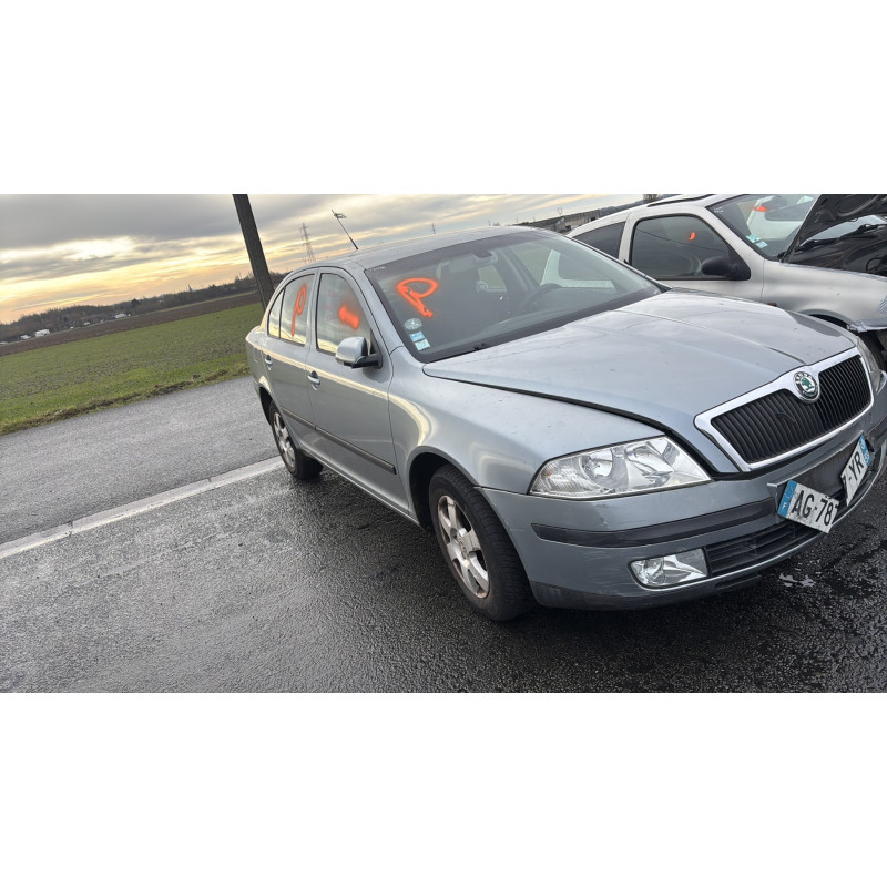 Malle/Hayon arriere SKODA OCTAVIA 2 Photo n°11