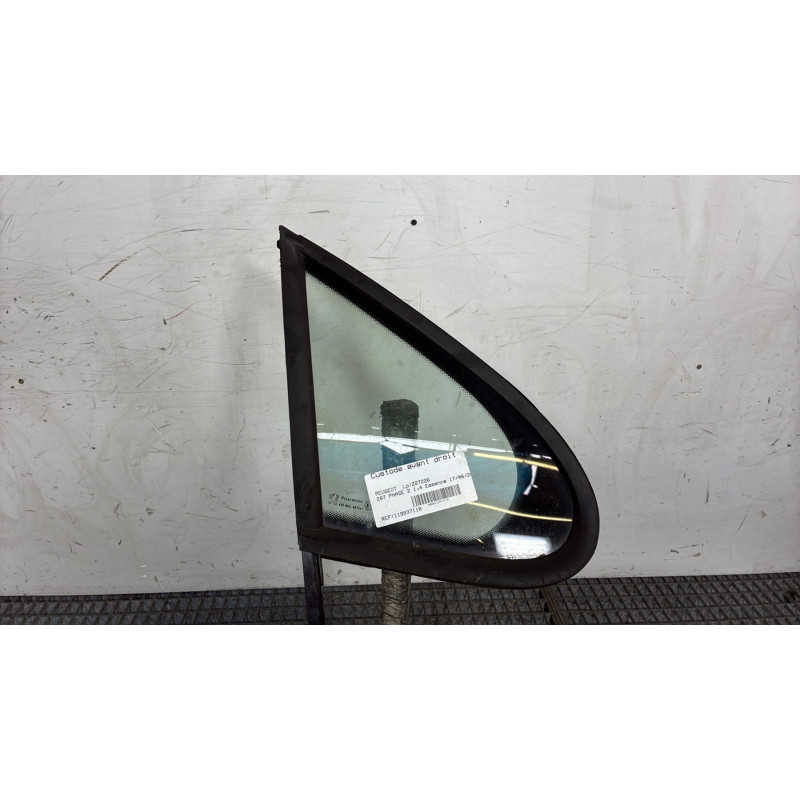 Custode avant droit (porte) PEUGEOT 207 Photo n°1