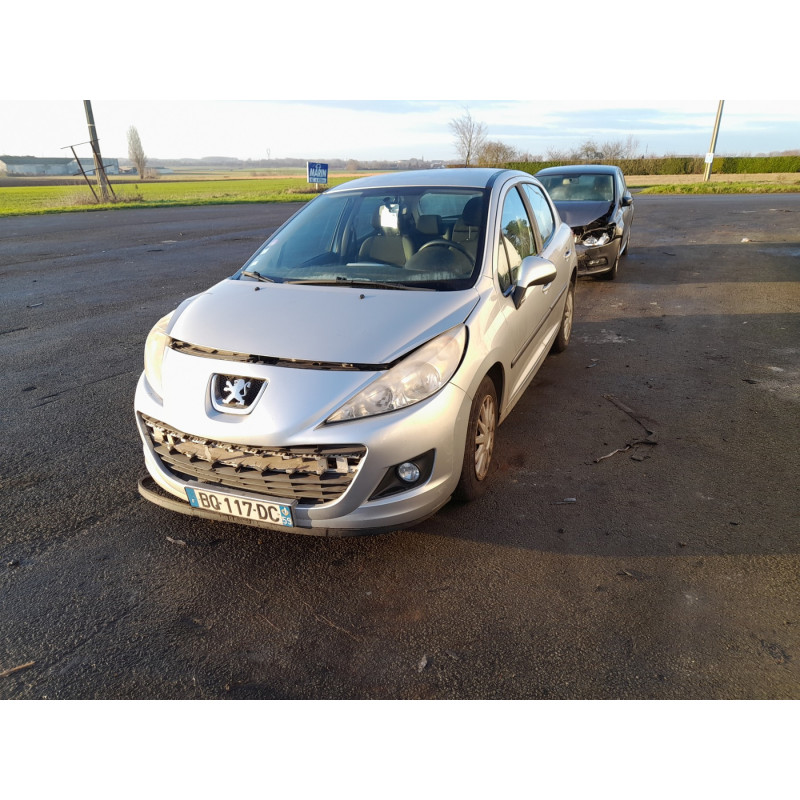 Custode avant droit (porte) PEUGEOT 207 Photo n°5