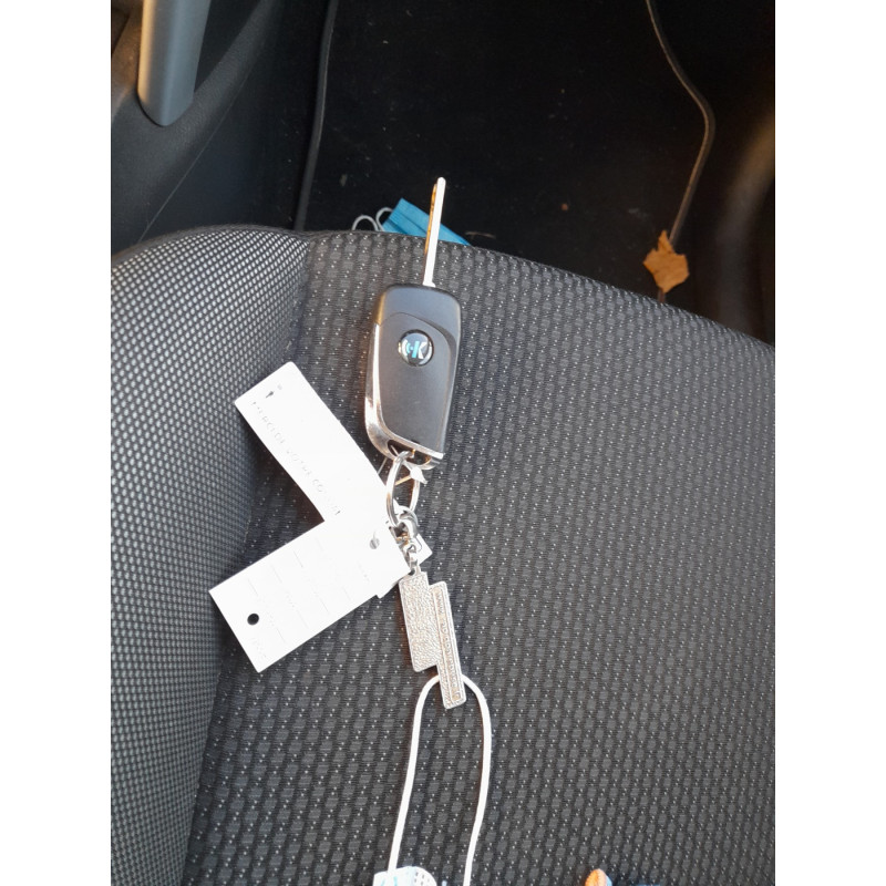 Custode avant droit (porte) PEUGEOT 207 Photo n°16