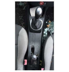 Porte avant gauche RENAULT CLIO 3