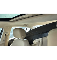 Poignee porte arriere gauche VOLKSWAGEN PASSAT 6