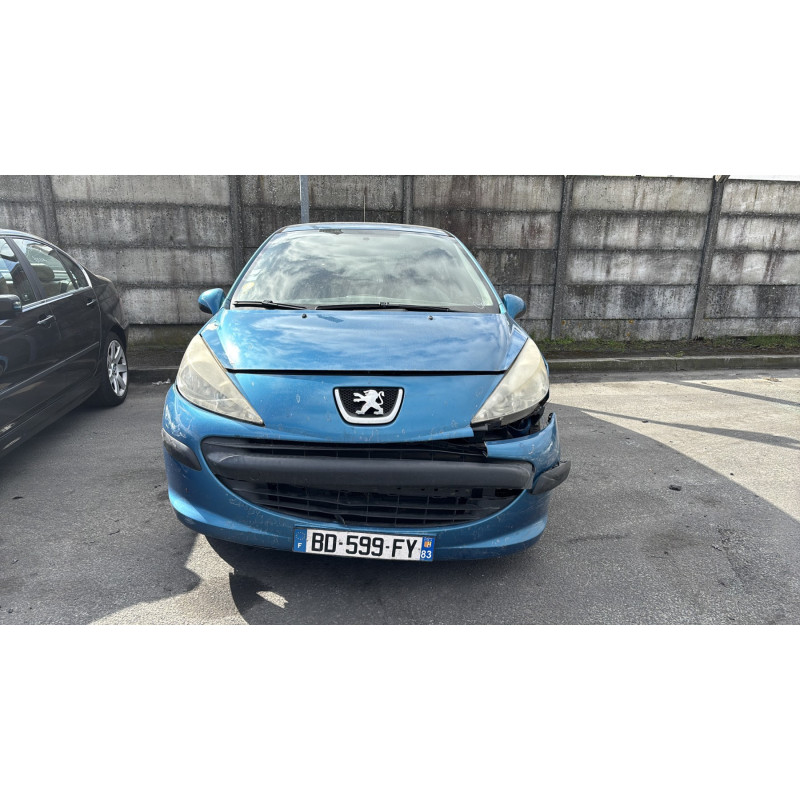 Custode avant gauche (porte) PEUGEOT 207 Photo n°12
