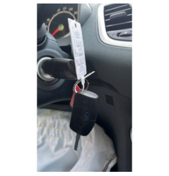 Porte avant gauche FORD FIESTA 6