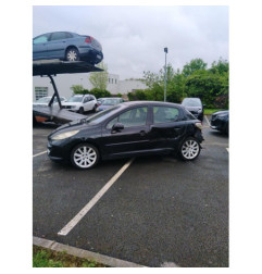 Cremaillere assistee PEUGEOT 207