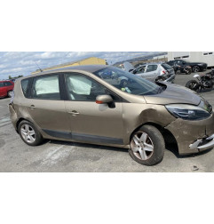 Porte arriere gauche RENAULT SCENIC 3