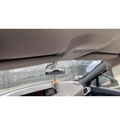 Porte arriere gauche RENAULT SCENIC 3