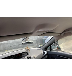 Porte arriere gauche RENAULT SCENIC 3