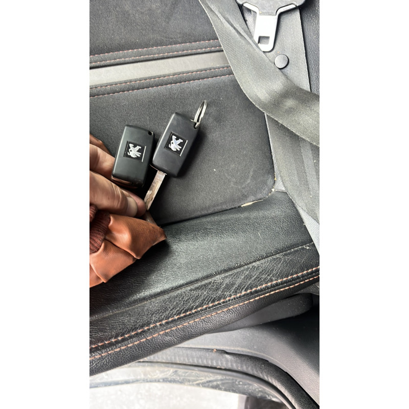 Porte avant droit PEUGEOT 3008 1 Photo n°18
