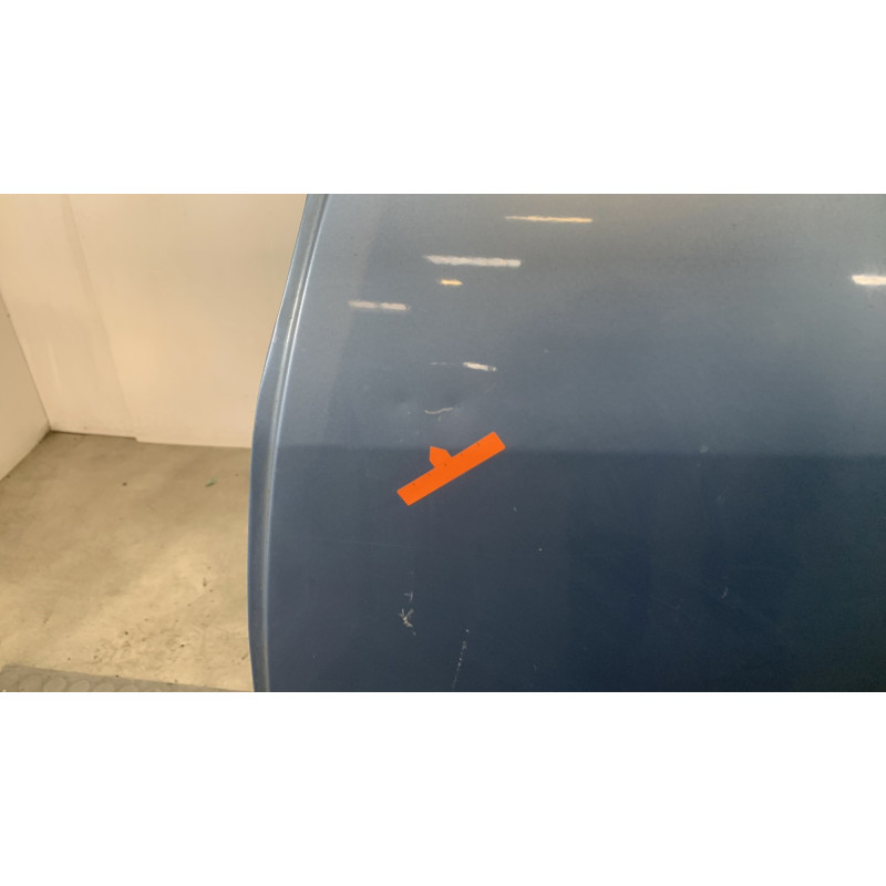 Porte arriere gauche RENAULT SCENIC 3 Photo n°4