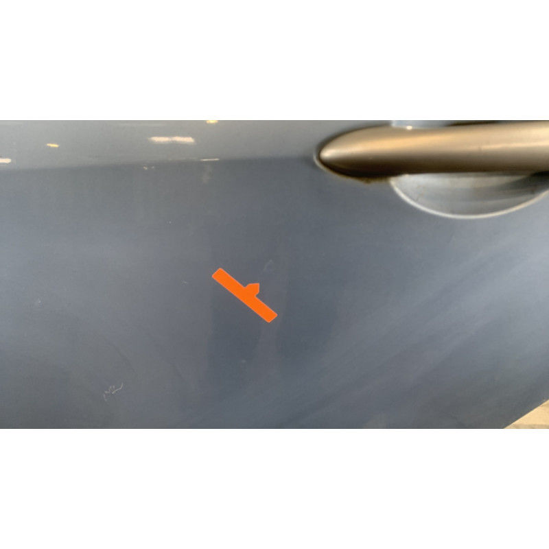 Porte arriere gauche RENAULT SCENIC 3 Photo n°5