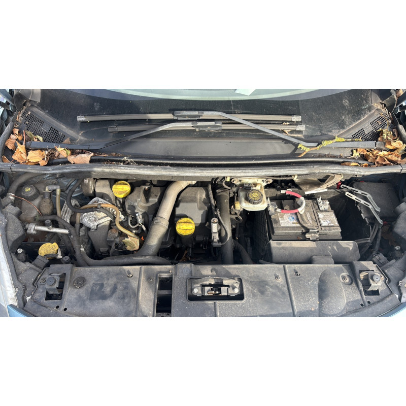 Porte arriere gauche RENAULT SCENIC 3 Photo n°11