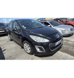 Porte arriere gauche PEUGEOT 308 1