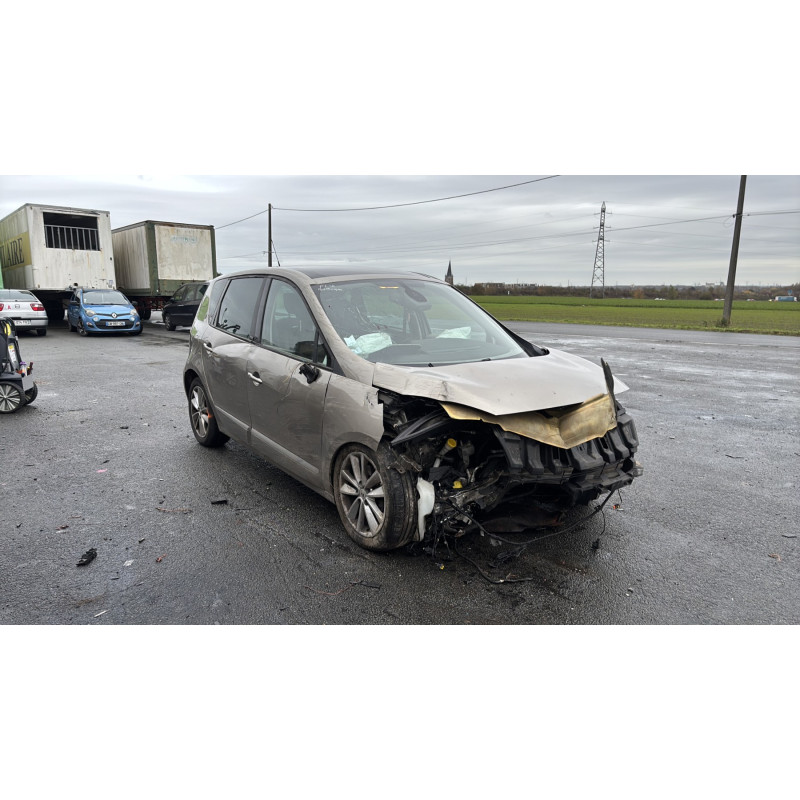 Custode avant droit (porte) RENAULT SCENIC 3 Photo n°5