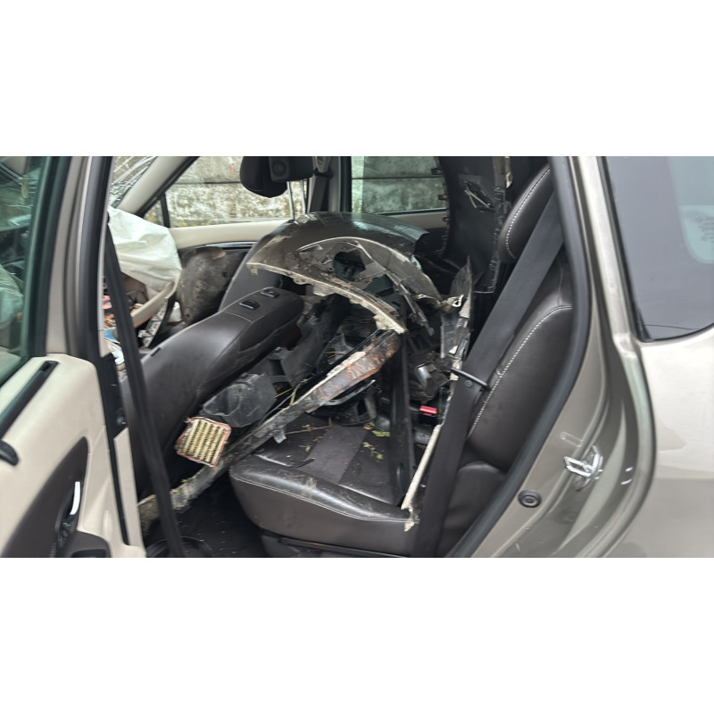 Custode avant droit (porte) RENAULT SCENIC 3 Photo n°15