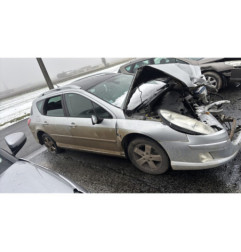 Baguette de porte avant gauche PEUGEOT 407