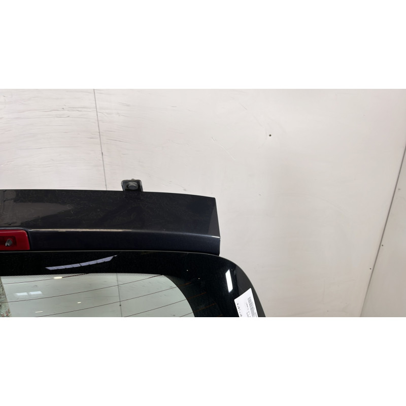 Malle/Hayon arriere RENAULT CLIO 3 Photo n°3
