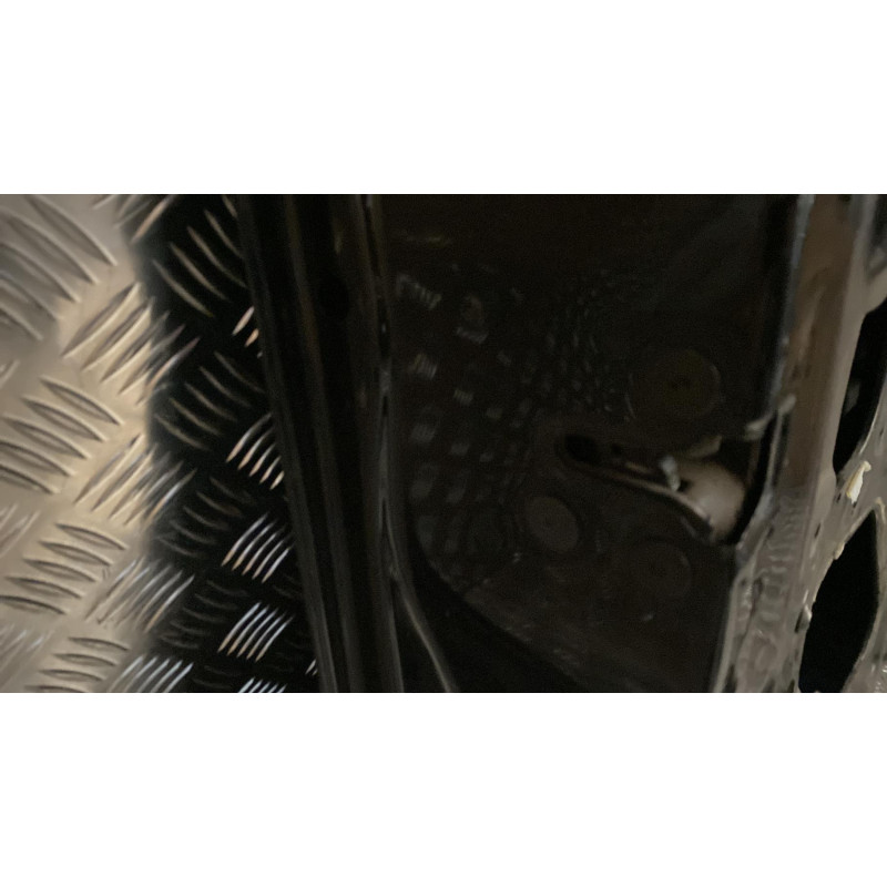 Porte avant gauche RENAULT SCENIC 3 Photo n°1