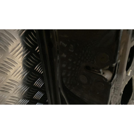 Porte avant gauche RENAULT SCENIC 3 Photo n°1